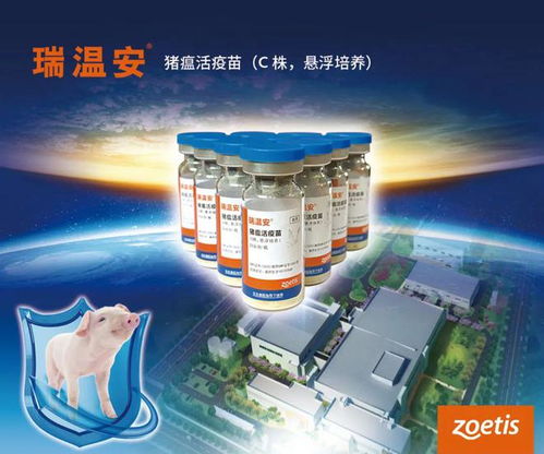 揭秘｜好疫苗是怎樣煉成的？探訪投資2.1億美元建設的碩騰蘇州工廠